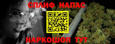 крисы Кулебаки