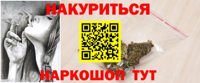 крисы Кулебаки