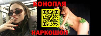 крисы Кулебаки