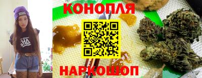 крисы Кулебаки