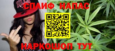 крисы Кулебаки