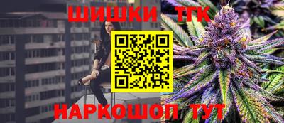 крисы Кулебаки