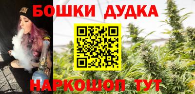крисы Кулебаки