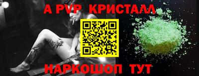крисы Кулебаки
