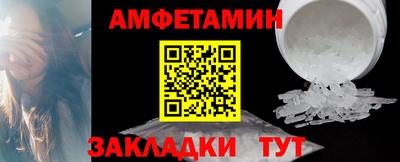 крисы Кулебаки